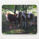 Search for miniature mousepads Horse