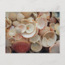 Search for up postcards Usa