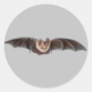 Search for bat illustration stickers Spooky