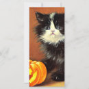 Search for kitten halloween cards Jack o lantern