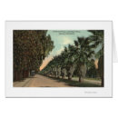 Search for pepper tree postcards California