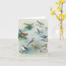 Search for warbler cards Animal