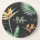 Search for tropics coasters Botanical