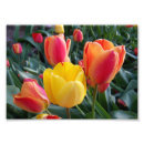 Search for 7x5 posters Garden