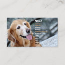 Search for animal rescue business cards Vets