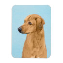 Search for rhodesian magnets Dog