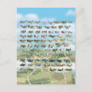 Search for aviation postcards Cartoon