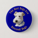 Search for rescued dog badges Shelter