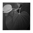 Search for black leaf tiles Garden