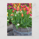 Search for spring colours postcards Garden