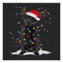 Search for christmas tree lights posters Lover