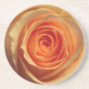 Search for rose picture coasters Floral