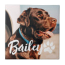 Search for photo tray Create your own