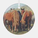 Search for in the wilderness christmas tree decorations Summer