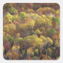 Search for vermont usa stickers Fall