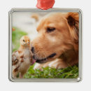 Search for chick christmas tree decorations Animals