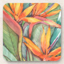 Search for paradise coasters Botanical