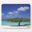 Search for aruba electronics Vacation