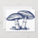 Search for draw postcards Nature