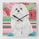 Search for dog rose posters Dogs
