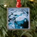 Search for change christmas tree decorations Winter