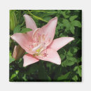 Search for flower spot invitations Spotted