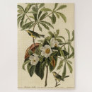 Search for audubon birds puzzles Illustration