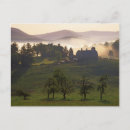 Search for medium format postcards Usa