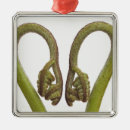 Search for cutout christmas tree decorations Nobody