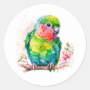 Search for green bird stickers Tropical