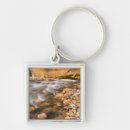 Search for autumn key rings Landscape