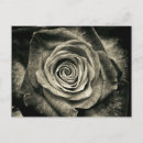 Search for rose postage Vintage