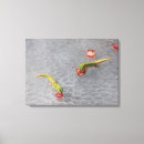 Search for gecko art Wall