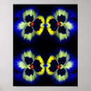 Search for pansy posters Flower