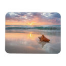 Search for shell beach magnets Sea