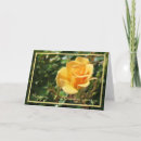 Search for best wishes roses cards Couple