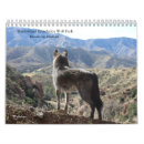 Search for wolf calendars Wildlife