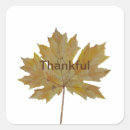 Search for thanksgiving dinner stickers Thankful