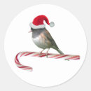Search for birds with hats stickers Red