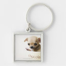 Search for bowl key rings Cute