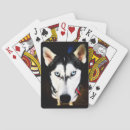 Search for huskies photography Canine