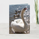 Search for sun shining cards Nature