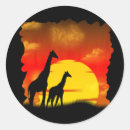 Search for giraffe stickers Sunset