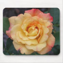 Search for hybrid mousepads Nature