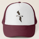 Search for isolate hats Cartoon