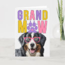 Search for bernese mountain dog cards Dogs