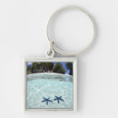 Search for sea stars key rings Tropical