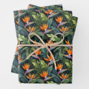 Search for bird of paradise wrapping paper Flower