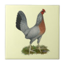 Search for hen tiles Poultry