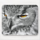 Search for eagle mousepads Bird